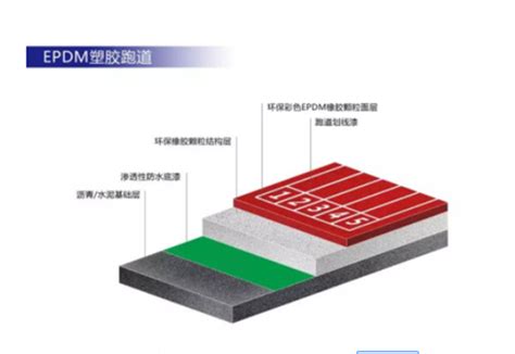 塑胶跑道结构图